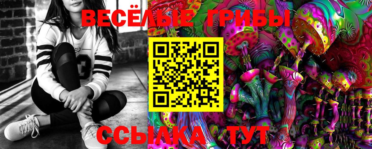 Галлюциногенные грибы Psilocybe  Вход с VPN  Барабинск 